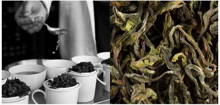 DARJEELING PHUGURI F.T.G.O.P. A SUBLIME SPRING HARVEST !