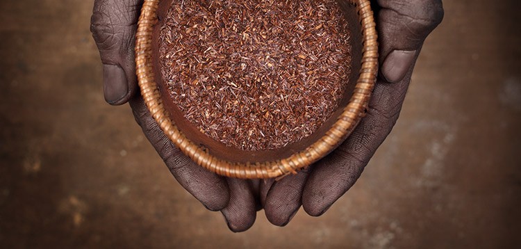 L’AFRIQUE À L’HONNEUR