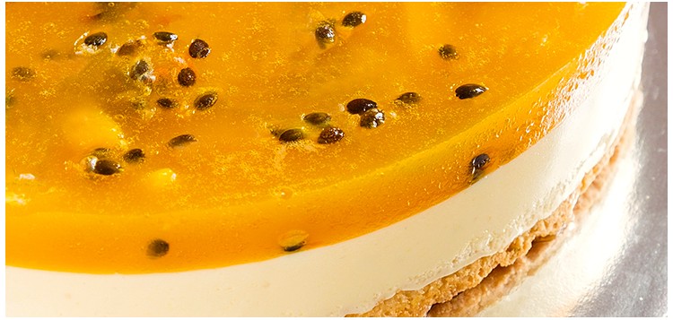 CHEESE CAKE MISS DAMMANN