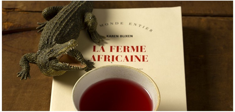 VOYAGE EN AFRIQUE