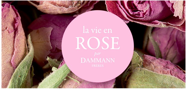 LA VIE EN ROSE, SÉLECTION SHOPPING