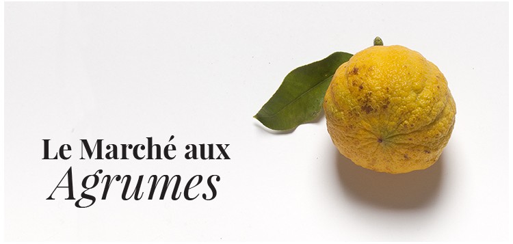 LE MARCHÉ AUX AGRUMES